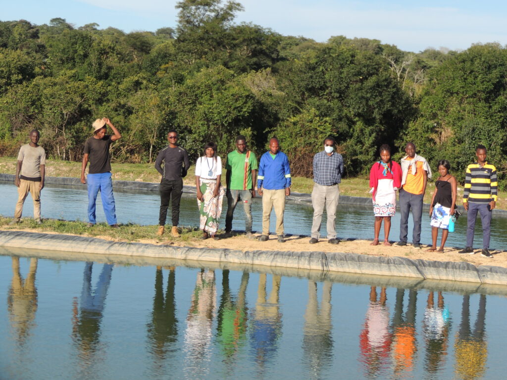 Youth Aquaculture Enterprise in Zambia demonstrates profitability