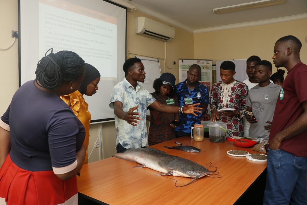 IITA trains over 1,900 youths in agribusiness; targets 10,000 beneficiaries