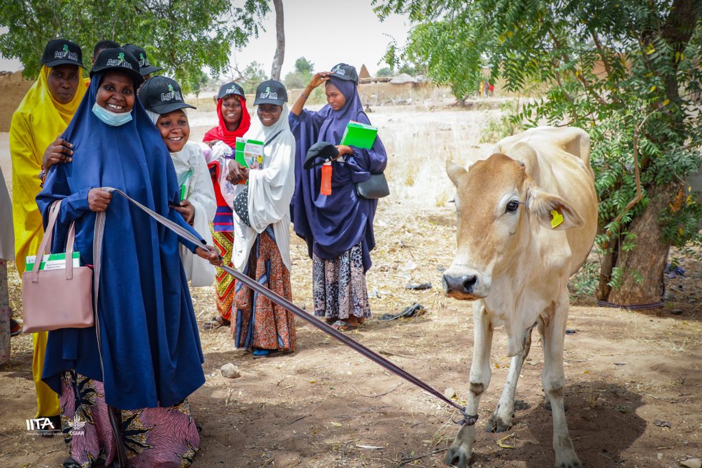 Strengthening Adamawa’s Dairy Sector: IITA and Sebore Farms Paving the Way to Prosperity