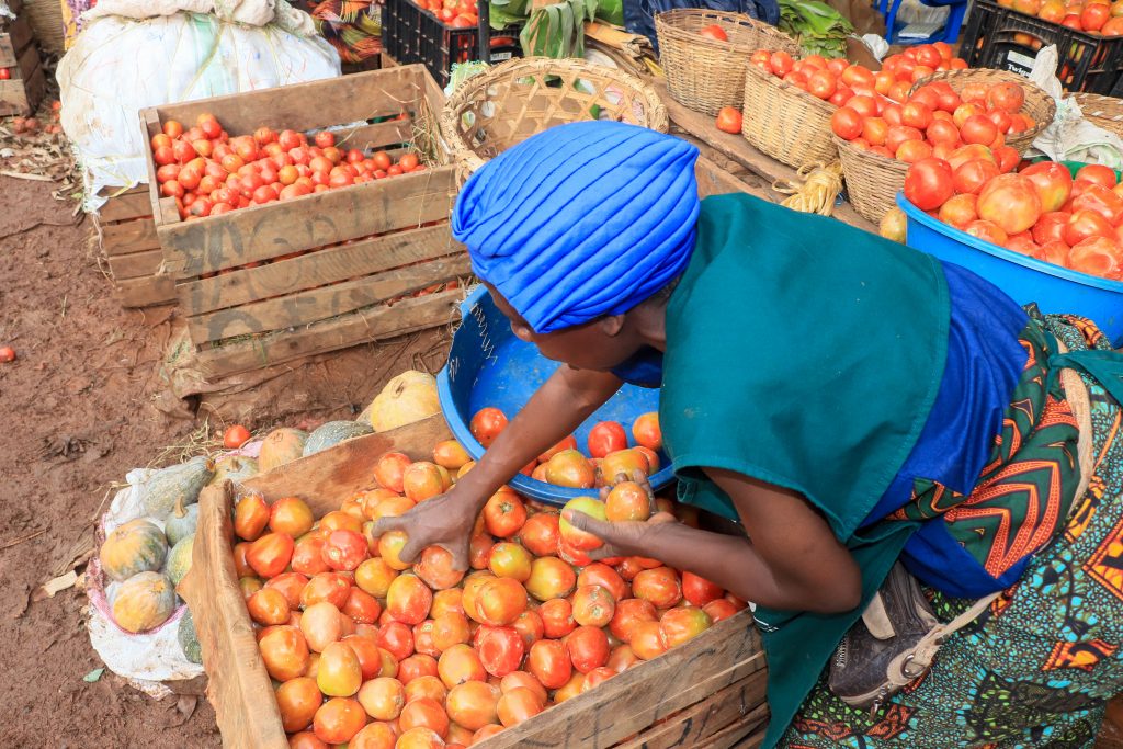 Empowering youth through agribusiness parks in Uganda