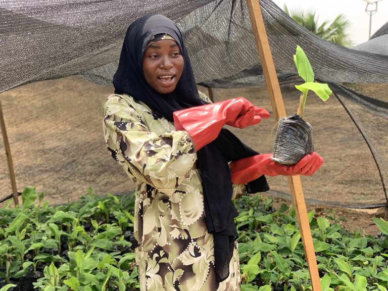 Azeezat in her banana nursery