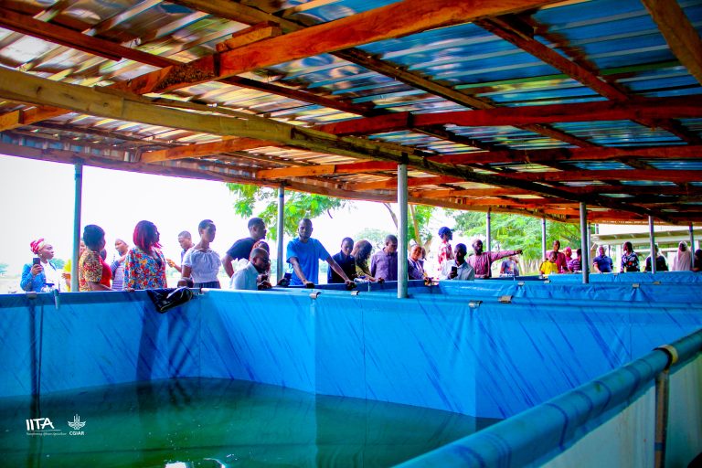 Participants at the tarpaulin pond