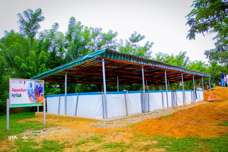 YAS aquaculture hub in the Federal Capital Territory, Abuja